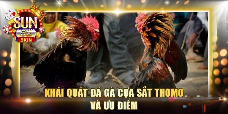 Khái quát đá gà cựa sắt Thomo và ưu điểm