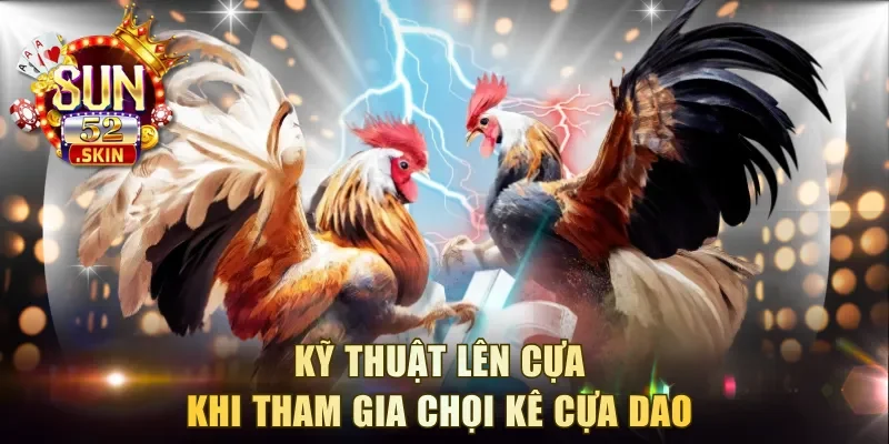 Kỹ thuật lên cựa khi tham gia chọi kê cựa dao